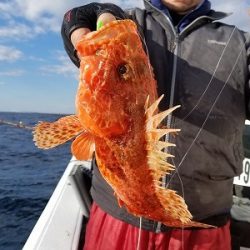 しまや丸 釣果