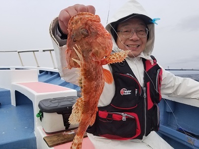 しまや丸 釣果