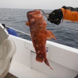 開進丸 釣果