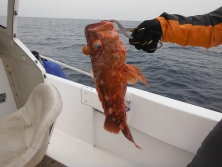 開進丸 釣果