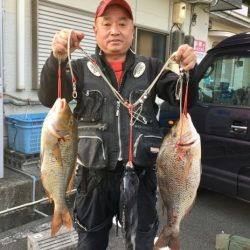 鵜来島家本渡船 釣果