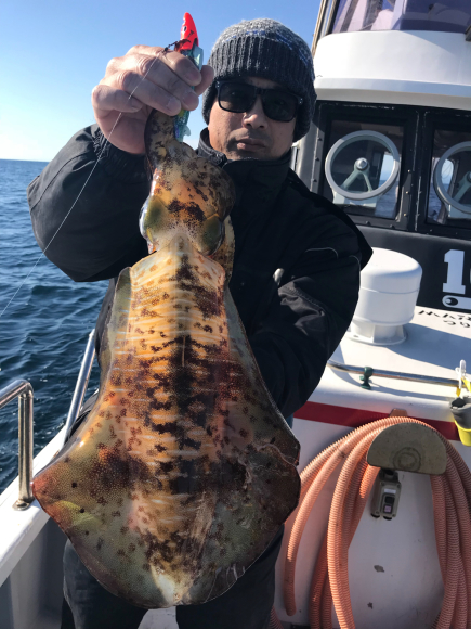 まると屋 釣果