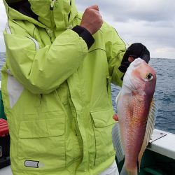 第三むつりょう丸 釣果