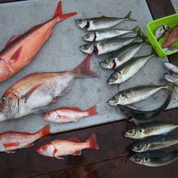 小海途 釣果