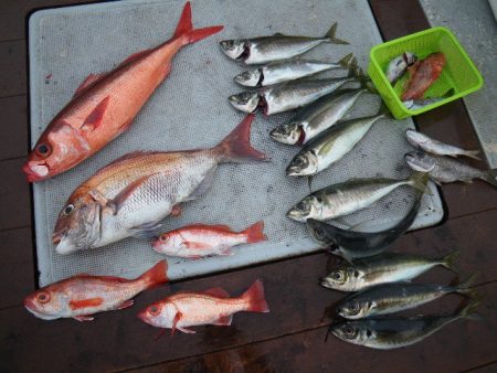 小海途 釣果