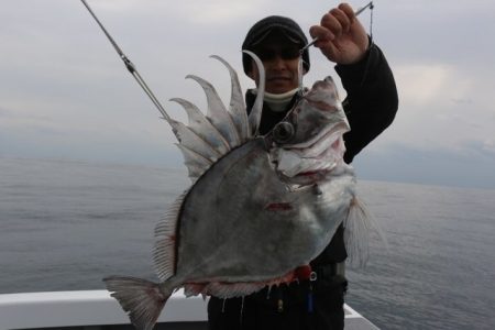 へいみつ丸 釣果