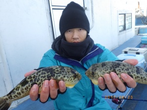 石川丸 釣果