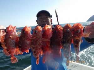 石川丸 釣果