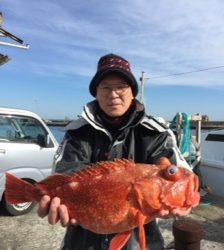 小倉丸 釣果