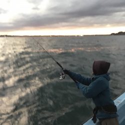 松鶴丸 釣果