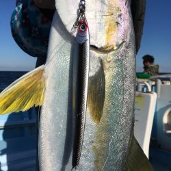 松鶴丸 釣果