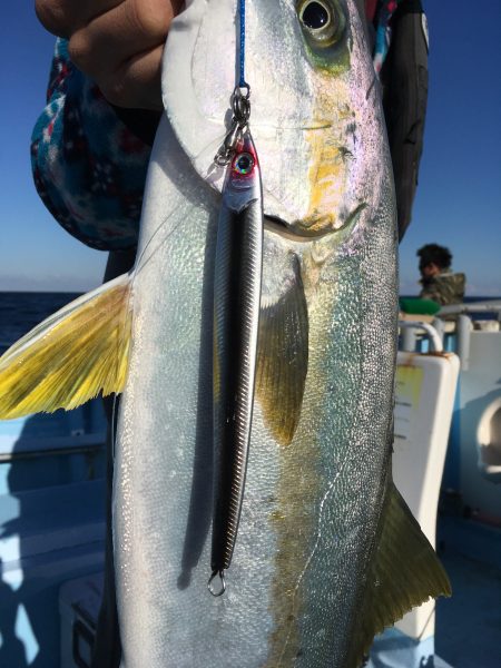 松鶴丸 釣果