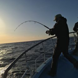 松鶴丸 釣果