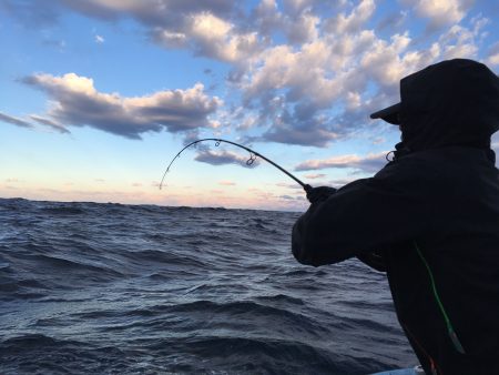 松鶴丸 釣果