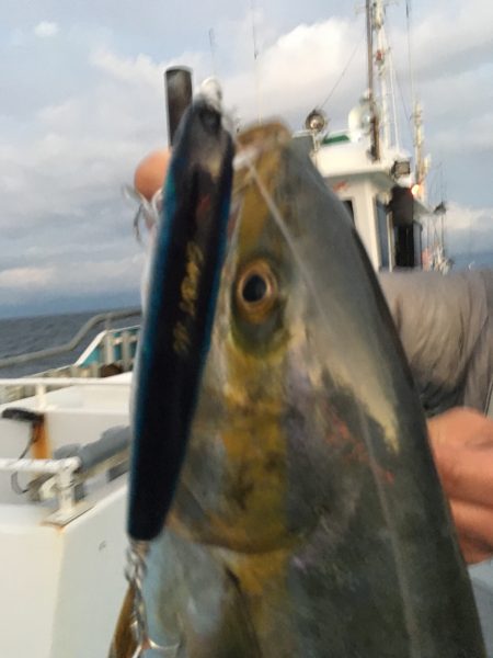 松鶴丸 釣果