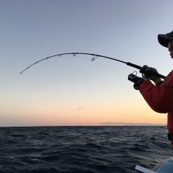 松鶴丸 釣果