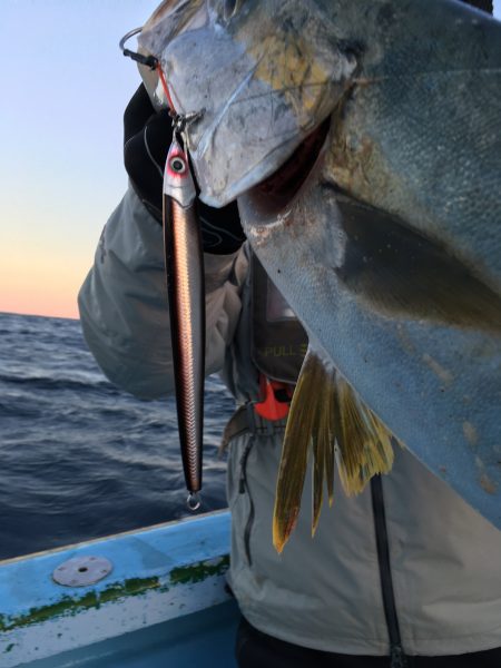 松鶴丸 釣果