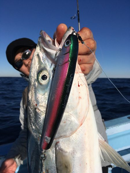 松鶴丸 釣果