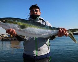 魚英 釣果