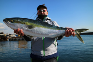 魚英 釣果