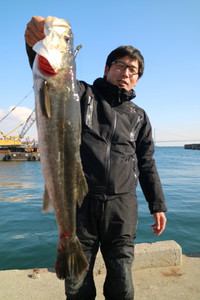 魚英 釣果