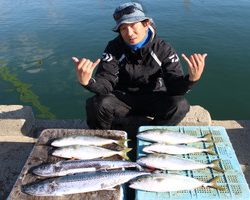 魚英 釣果