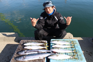 魚英 釣果