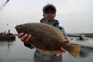 魚英 釣果