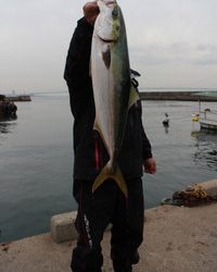 魚英 釣果