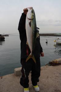 魚英 釣果