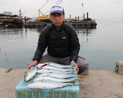 魚英 釣果