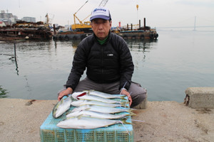 魚英 釣果