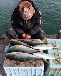 魚英 釣果