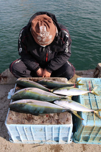 魚英 釣果