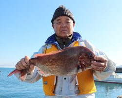 魚英 釣果