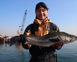 魚英 釣果