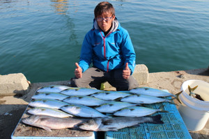 魚英 釣果