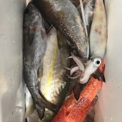 たいし丸 釣果