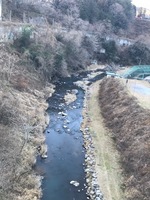 秩父フライフィールド 釣果