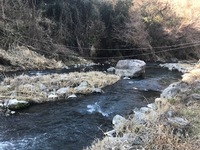 秩父フライフィールド 釣果