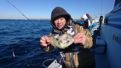 かねい丸 釣果