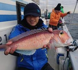 かねい丸 釣果