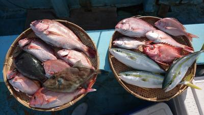 はじめ丸 釣果