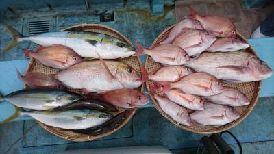 はじめ丸 釣果