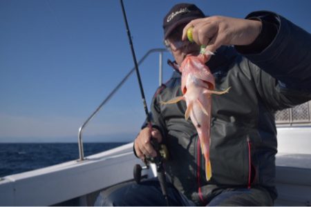 渡船屋たにぐち 釣果