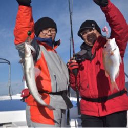 渡船屋たにぐち 釣果