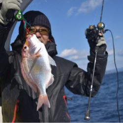 渡船屋たにぐち 釣果