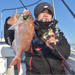 渡船屋たにぐち 釣果