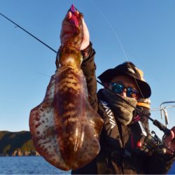 渡船屋たにぐち 釣果