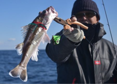 渡船屋たにぐち 釣果